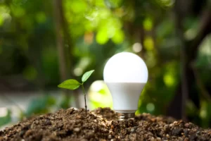 Glowing Lightbulb planted next to a seedling