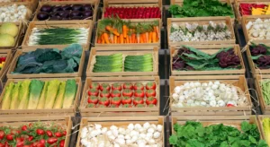 Food and Beverage - Many colourful vegetables in market boxes